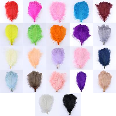 Natural Ostrich Feather 30 --35cm South African Ostrich Feather Diy Feather Home Flower Arrangement 