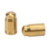 RISK Bicycle Air Nozzle Cap Titanium Alloy Mechanical Property Bike Tire American Valve Cap Dustproof