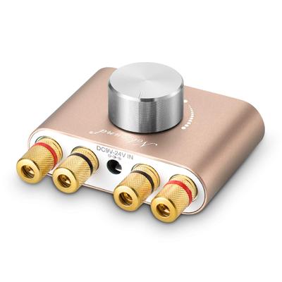 Nobsound Pro Power Amplifier Bluetooth 100W Amplifier Speaker HiFi Audio with Power Supply NS-01G 5.0 (Gold)