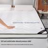 Four Seasons Soft Sponge Mattress Pad - Thickened for Dormitory or Home Use, Single or Double Tatami Style