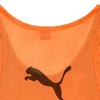Puma Team Vest Bib Vest