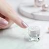 Moonlight White Pearl Chrome Rubbing Powder Aurora Glitter Pigment Nail Art Decor Supplies