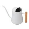 Stainless Steel Watering Can Pot Retro Small Plant Watering Can with Wooden Handle for Indoor Outdoor 1000ML
