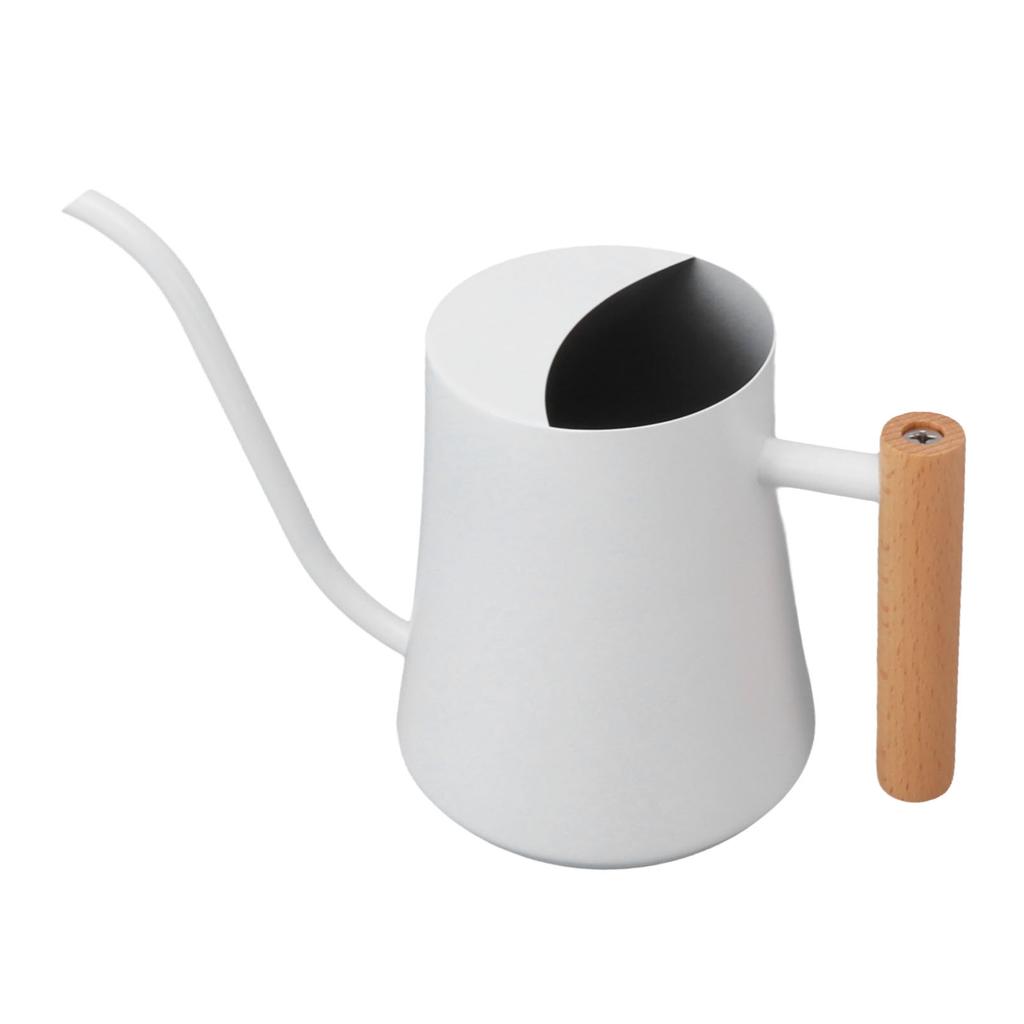 Stainless Steel Watering Can Pot Retro Small Plant Watering Can with Wooden Handle for Indoor Outdoor 1000ML