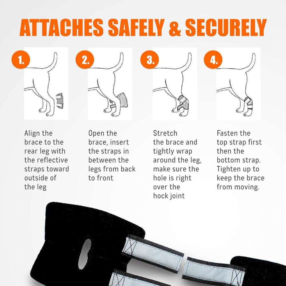 Adjustable Dog Rear Leg Hock Brace Breathable Reflective Design Dog Arthritis Protector Shock-Absorbing Soft Lining