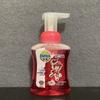 Dettol Paw Patrol Foaming Antibacterial Hand Wash - Cherry & Orchid 4-Pack