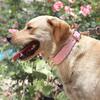 Studded Leather Dog Collar Durable Big Dog Pet Collars German Shepherd Large Collars Adjustable for Medium Large Dog Pitbull