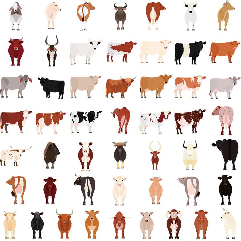 50 Pcsset Cartoon Animal Cattle Cow Stickers Kawaii Laptop Guitar Luggage Fridge Phone Case Graffiti Sticker Decal