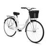 Flying Pigeon City Commuter Bicycle