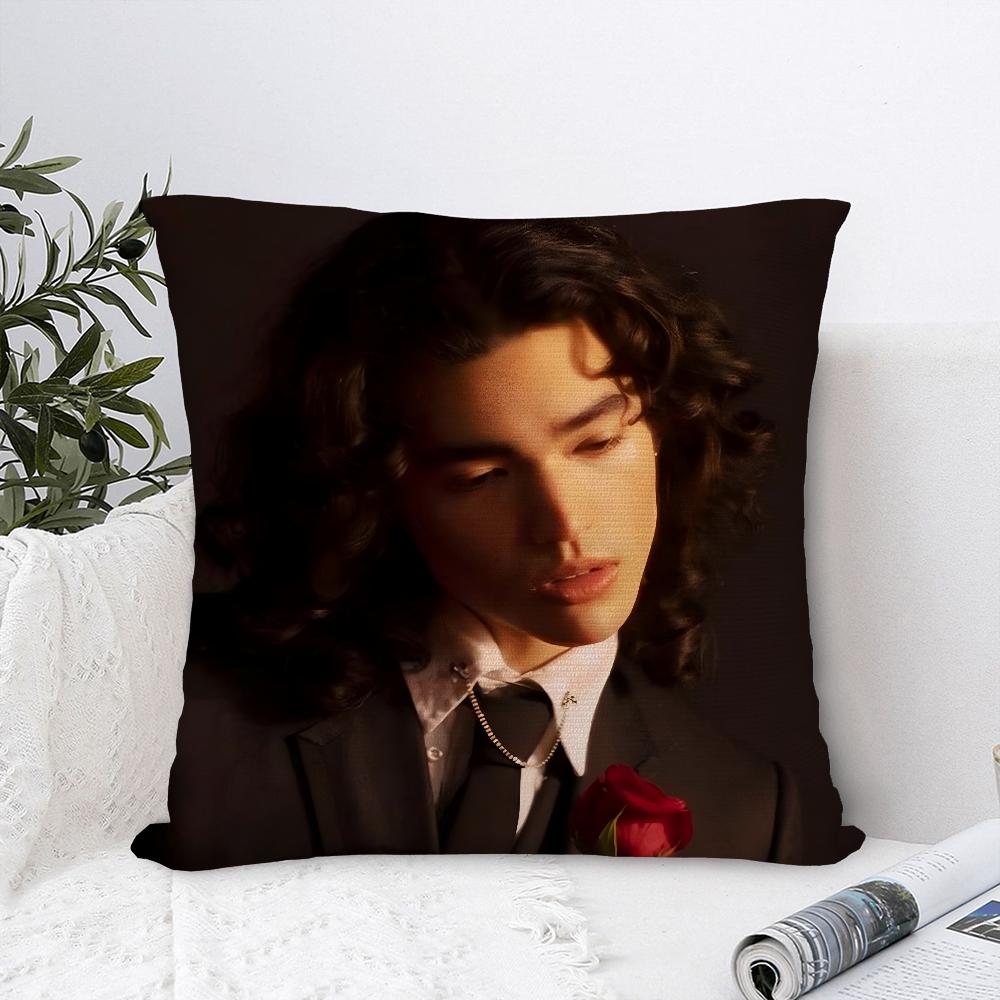 

Singer C-Conan G-Gray Pillow Case Sofa Decorative Home Double-sided Print Plush Square Throw Pillow Covers Cushion Decor Cover 16x16Inch