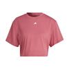 Crop Tops Women's Stratum Powder Crew Neck Moderate IB8563