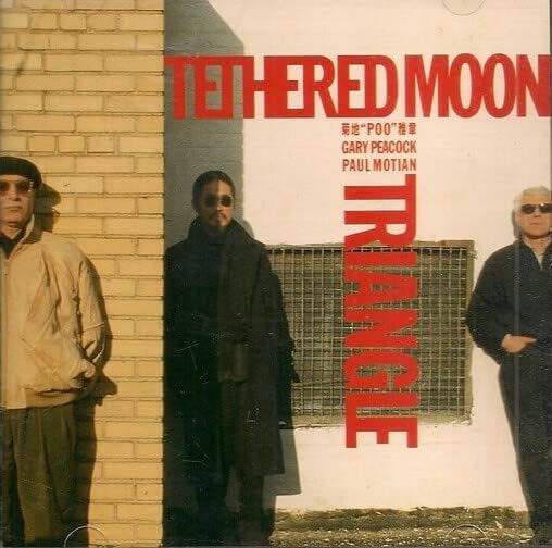 

CD TETHERED MOON, MASAAKI KIKUCHI, GAR - Triangle KICJ130 Japan ObiMusic Others Used