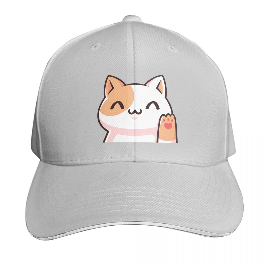 Cat Life Is Perfect Baseball Cap Snapback Flat Bill Strapback Dad Hat Six Panel Structured Crown