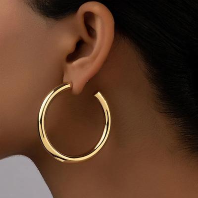 Punk Gold Color Hoop Earring Fashion Hollow Round Circle Earrings for Women Hiphop Jewelry Brincos Jewelry Gifts