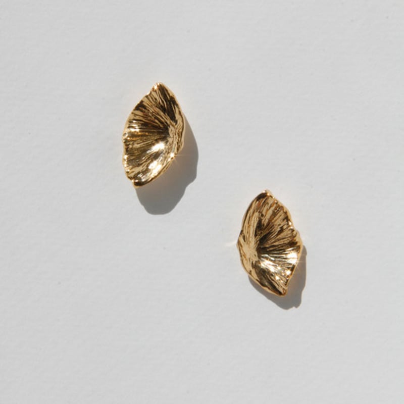 LINKY LABORATORY Dandelion texture E