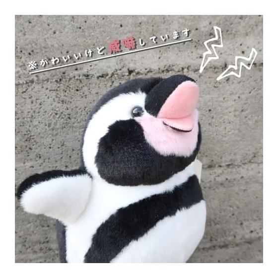 Ocopun Pinguin Plüschtier (Pinguinküken) Bedrohliche Haltung Molliger Körper Wütender Ausdruck Höhe 13cm