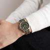 [Official Shop] Maven Watches 34mm THE URBAN SCOUT SERIES Minimalist Fashion Watch (MUS-06 OLIVE P 34MM)