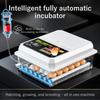 Mini Fully Automatic Poultry Egg Incubator with Auto Egg Turning Household Brooder for Hatching Chicken Duck Goose Bird Eggs