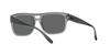 Sunglasses EA4197F TRANSPARENT GREY GREY Lens 57 [Emporio Armani] Frame/DARK