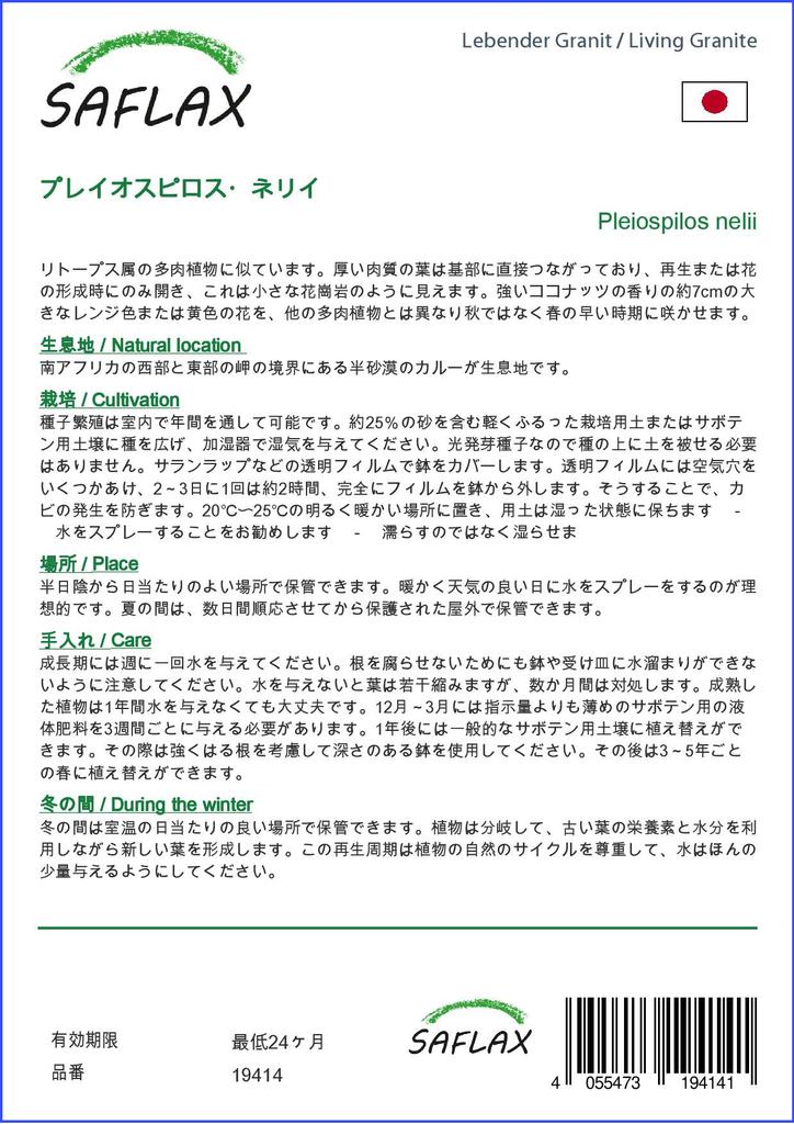 SAFLAX Lebender Granit – 40 Samen – Pleiospilos nelii
