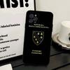Bosnia And Herzegovina Passport Phone Case For Iphone 16 15 17 13 14 12 11 Pro Max Plus Black Shell Cover Case