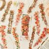 Office School Supplies Rattan Flower Series Original Plant Vine Material Landscaping Collage 6 Styles Kawaii Stickers Lovely