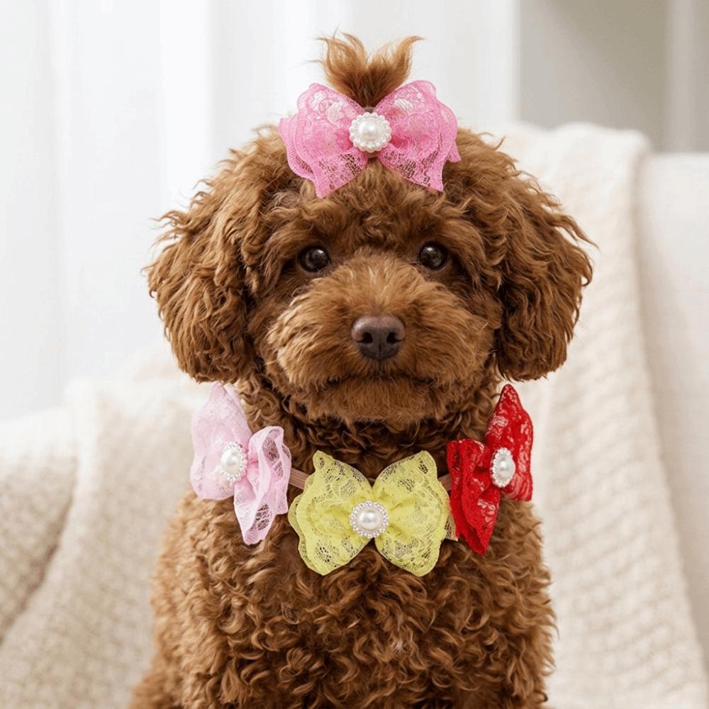 20Pcs Non-elastic Dog Hair Flower Lace Trim Pet Lace Headwear Pet Hair Tie  Daily Decoration