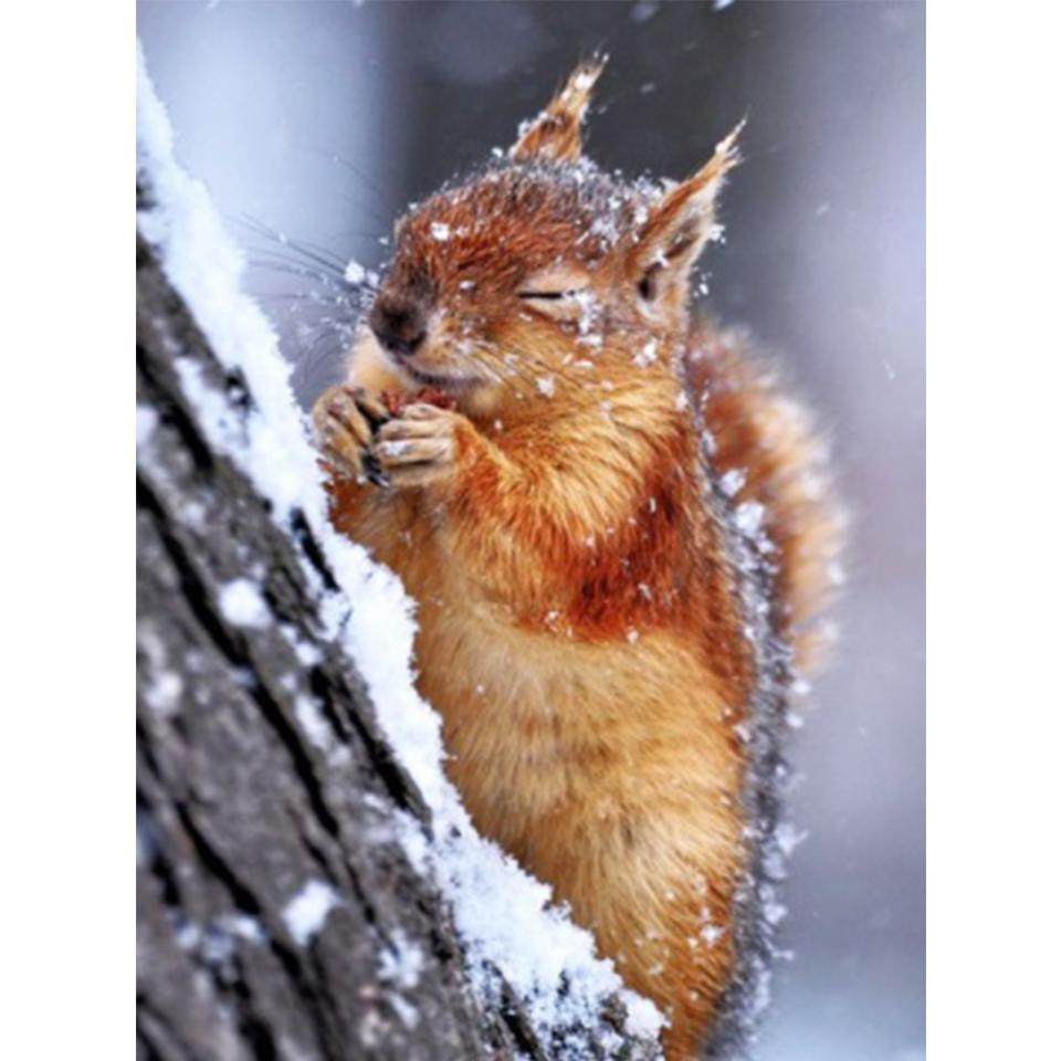 5D DIY diamantová malba Zvířecí veverka Umělecká sada křížového stehu Kamínkový obrázek Úplné diamantové vyšívání Mozaikové dekorace dárek