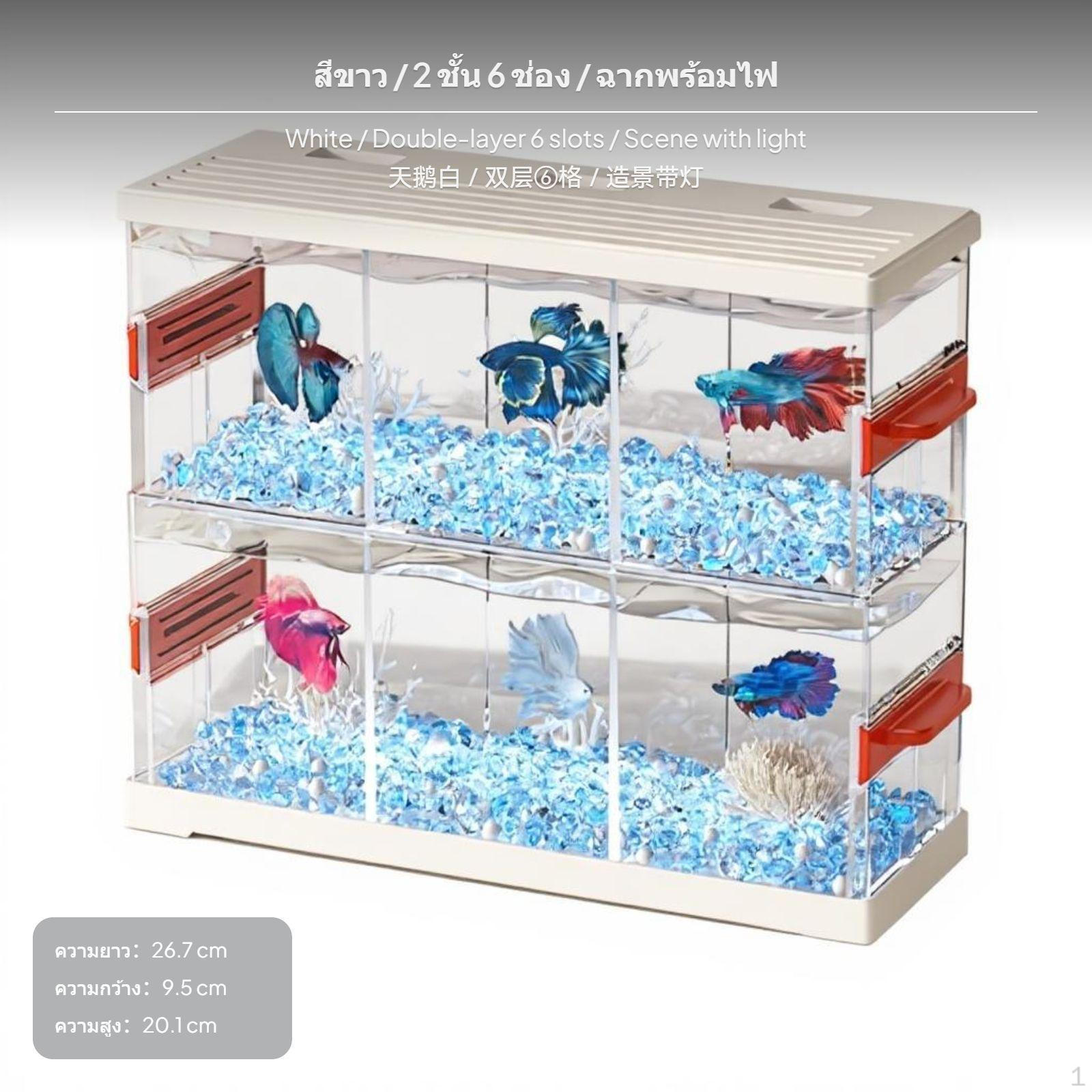 6Compartment Betta Fish container, Multicompartment Desktop
