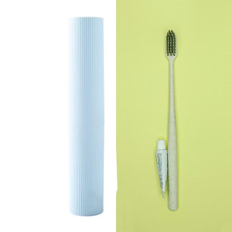 LIEI Portable Travel Toothbrush Case