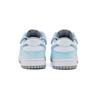 Nike Jurnal Insula Dunk Pantofi de Skateboard SAML cu Top Jos Femei DD1503-103(Echipa6-)