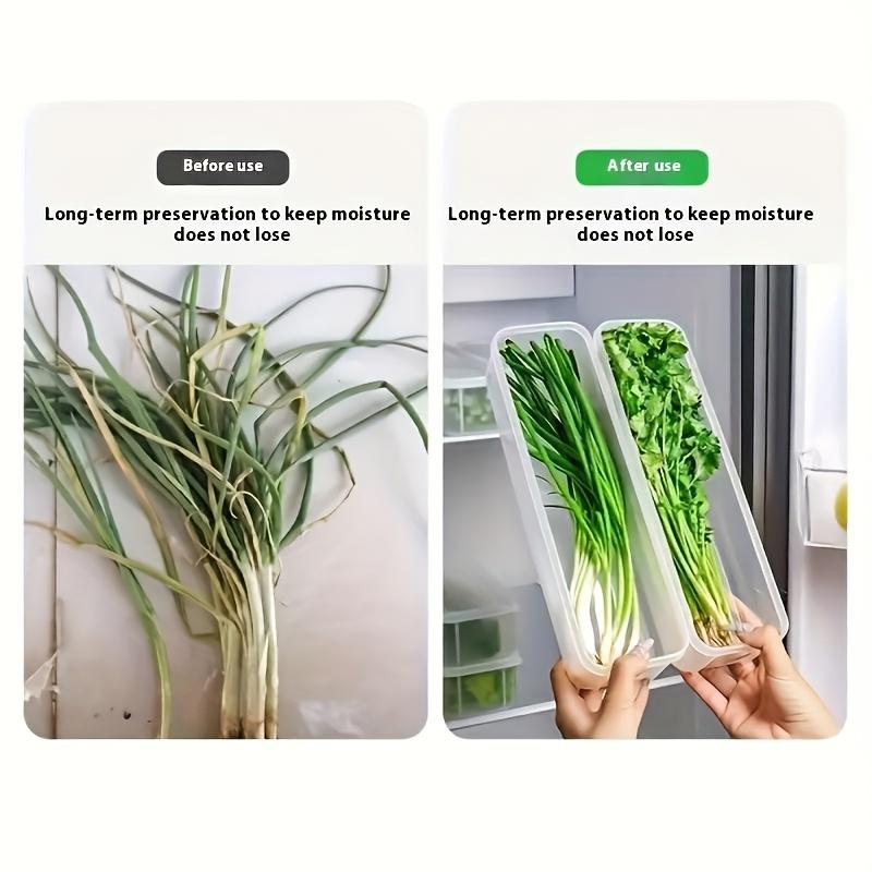 1pc Long Rectangular Food Storage Containers, Plastic Reusable Refrigerator Organizer Boxes Kitchen Accessories