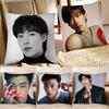 Actor Woo Dohwan Pillow Case Fashion Square Pillowcase Bedroom Sofa Room Ins Decoration Leisure