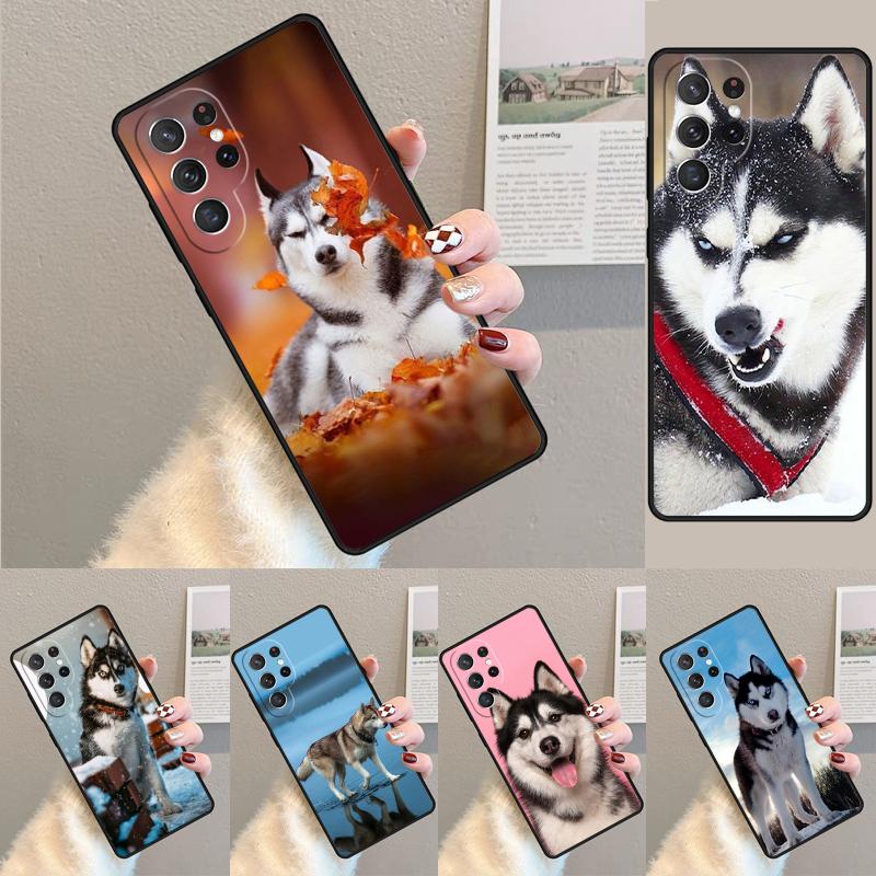 Siberian Husky Sled Dog TPU Phone Case For Samsung Galaxy Note 10 Pro S26 S25 S24 S23 S22 Ultra Plus S21 FE S20 Shockproof Cover