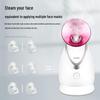 KingDom Nano Hot Mist Facial Steamer