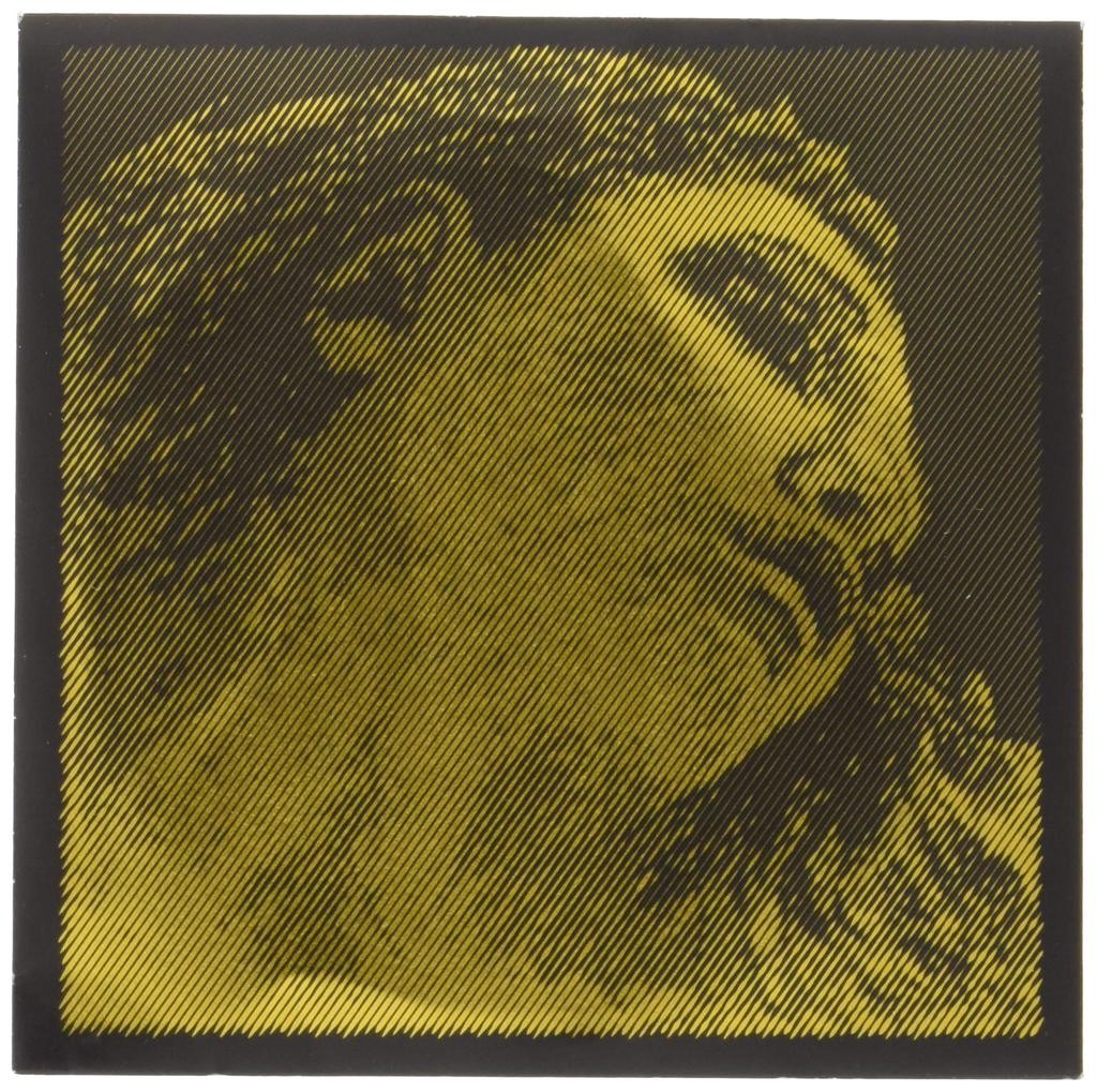 EVAH PIRAZZI GOLD Eva Pirazzi Gold Violin String E String (loop End)