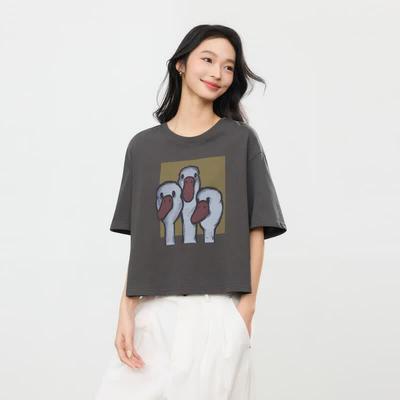 Üst Kıyafetler – T-shirtler