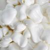 Soap DIY Empty Ball Skin Soft TPR Handmade Ball Skin Creative DIY Pressure Ball Kit  Children Gift