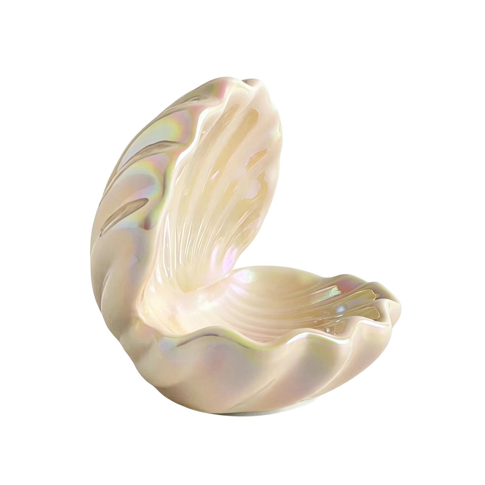 

Creative Shell Jewelry Storage Box Decorative Home Accent Organizer for Small Accessories Display and Storage with Unique Design one size розовый