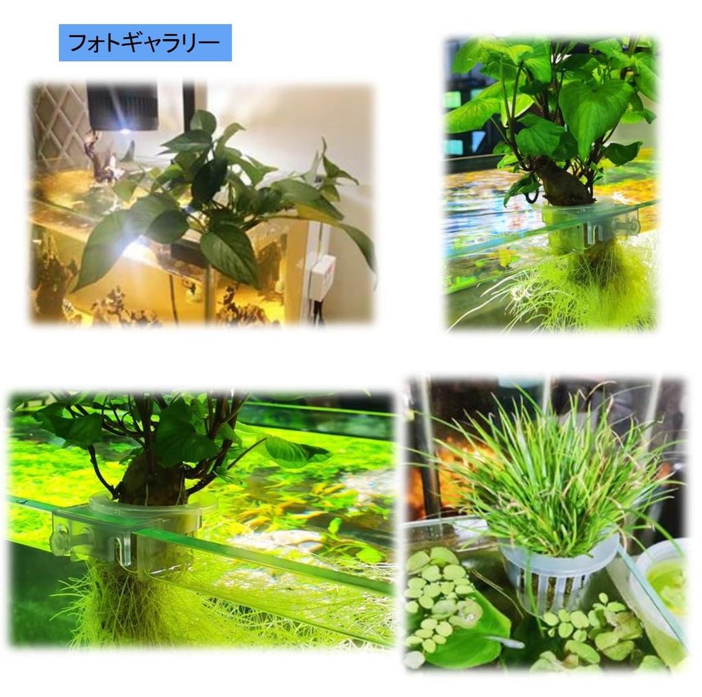 ST TS Hydroponic Plant Holder Cups, Set of 4, Wall-Mounted Hanging Planter, Flower Pot Accessory, Stand for Aquatic Plants and Houseplants