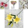 Faux Lily 2head Decorative Display With Light Luxury Finish For Photography And Home Styling
