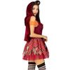 New, Halloween Little Red Riding Hood Costume Wicked Witch Shawl Cloak Patch Skirt