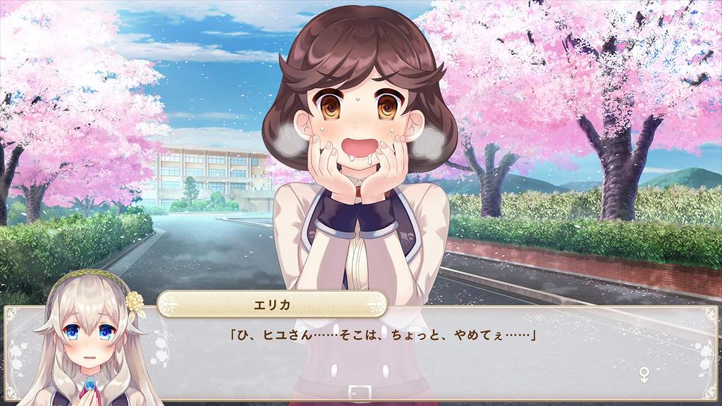 Bokuhime PROJECT Switch -