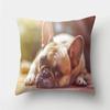 Cuscini decorativi con stampa Pug Dog Federa Fodera per cuscino in poliestere Cuscino decorativo per divano Decorazione del soggiorno Federa