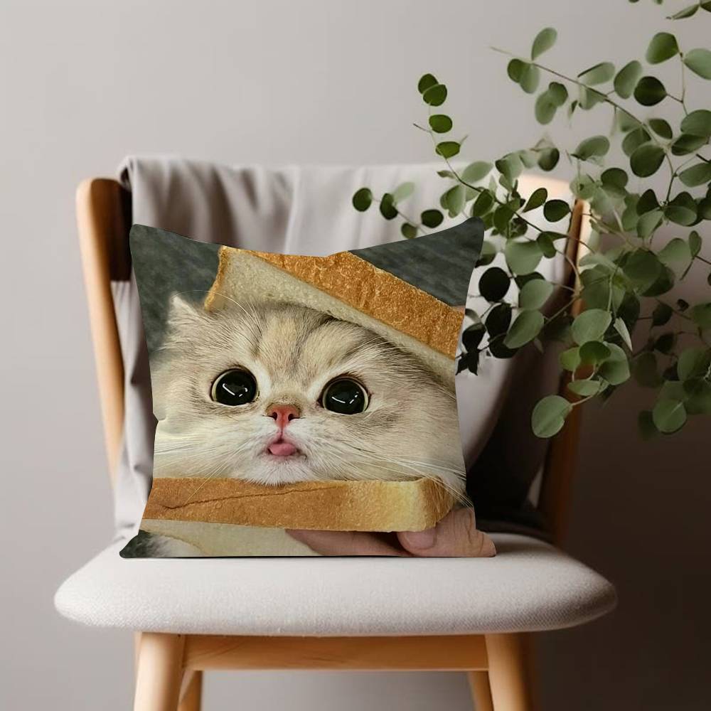 Cat Funny Pillow Cushion Cover Pillowcase Living Room Sofa Home decorative pillowcase