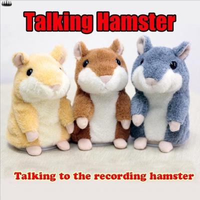 recording hamster
