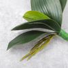 2 Pcs Orchid Leaves Artificial Real Touch Faux Phalaenopsis Stems Leaf 8 Inches Green Leaf Plants Fake Cymbidium Flower Foliage Green Real Touch