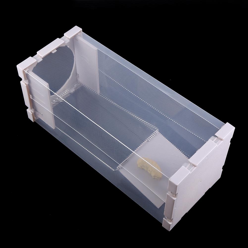 Humane Rat Trap Cage Live Animal Pest Rodent Mice Mouse Control Bait Catch
