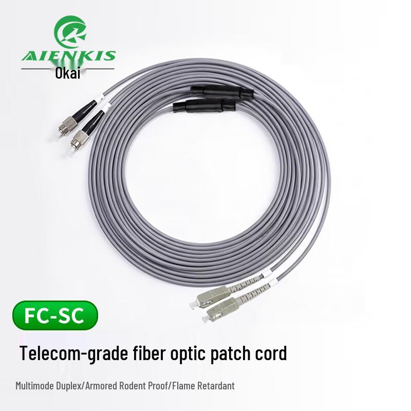 AIENKIS Armored OM2 Multimode Fiber Optic Patch Cable