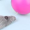 Evcil Köpek Kedi Oyuncak Gelincik Motorlu Komik Yuvarlanan Top Kunduz Topları Evcil Hayvan Oyuncakları Kedi